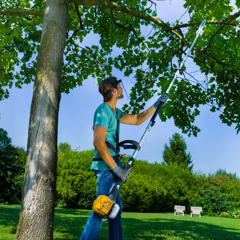 SMT226_287130152ST1_amb01_web-ecommerce